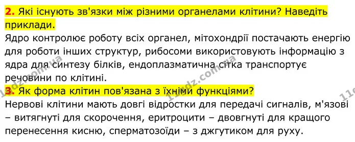 2. Які існують зв'язки між різними органелами клітини? Наведіть приклади. — ГДЗ Біологія 8 клас Балан
