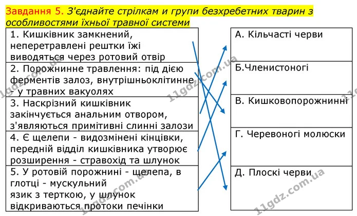 Стор. 61 — 5 — ГДЗ Робочий зошит з Біології 7 клас Яременко — ГДЗ Робочий зошит з Біології 7 клас Яременко