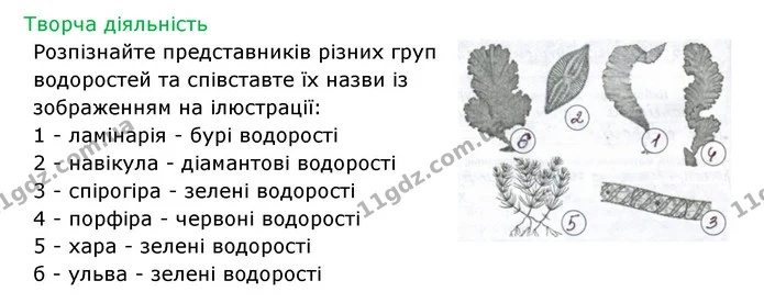 Стор. 68 — 2 — ГДЗ Робочий зошит Біологія 6 клас Соболь — ГДЗ Робочий зошит Біологія 6 клас Соболь