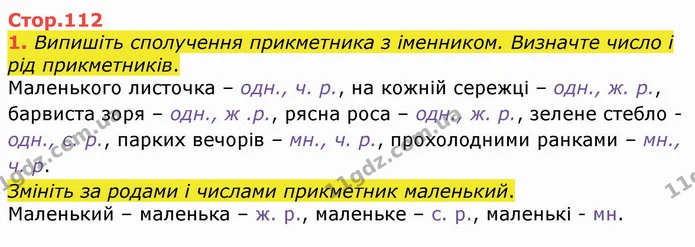 1. Випишіть сполучення прикметника з іменником. Визначте число і рід прикметників. — ГДЗ Українська мова 4 клас Вашуленко 2021 (1 частина)