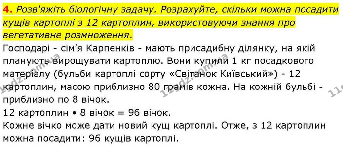 4. Розв'яжіть біологічну задачу. Розрахуйте, скільки можна посадити кущів картоплі з 12 картоплин, використовуючи знання про — ГДЗ робочий зошит Біологія 7 клас Кулініч