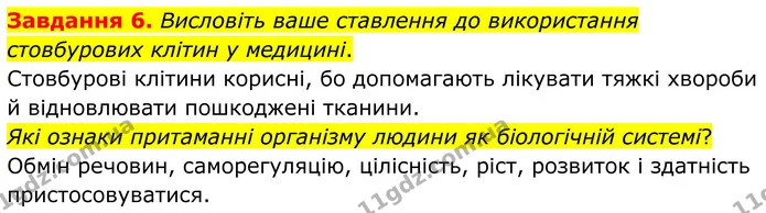 Стор. 12 — 6 — ГДЗ Робочий зошит біологія 8 клас Мирна — ГДЗ Робочий зошит біологія 8 клас Мирна