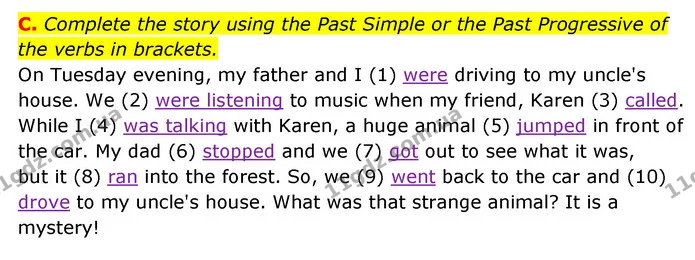 C. Complete the story using the Past Simple or the Past Progressive of the verbs in brackets. — ГДЗ Робочий зошит Англійська мова 6 клас Мітчелл