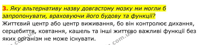 3. Яку альтернативу назву довгастому мозку ми могли б запропонувати, враховуючи його будову та функції? — ГДЗ Біологія 8 клас Балан