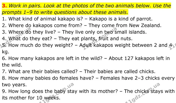 3. Work in pairs. Look at the photos of the two animals below. Use the prompts 1–9 to write questions about these animals. — ГДЗ Англійська мова 7 клас Коста
