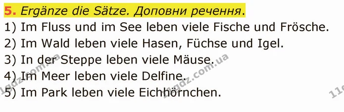 5. Ergänze die Sätze. Доповни речення. — ГДЗ Німецька мова 5 клас Сотникова (1 рік)