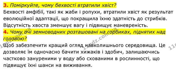 3. Поміркуйте, чому бехвості втратили хвіст? — ГДЗ Біологія 7 клас Тагліна