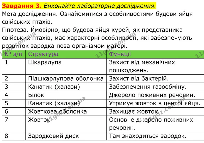 3. Виконайте лабораторне дослідження. — ГДЗ Робочий зошит Біологія 7 клас Мирна 2024