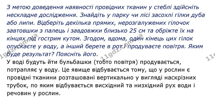 Стор. 32 — 3 — ГДЗ Робочий зошит Біологія 6 клас Соболь — ГДЗ Робочий зошит Біологія 6 клас Соболь