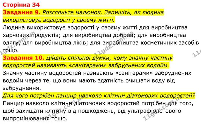 9. Розгляньте малюнок. Запишіть, як людина використовує водорості у своєму житті. — ГДЗ Робочий зошит Біологія 7 клас Мирна 2024