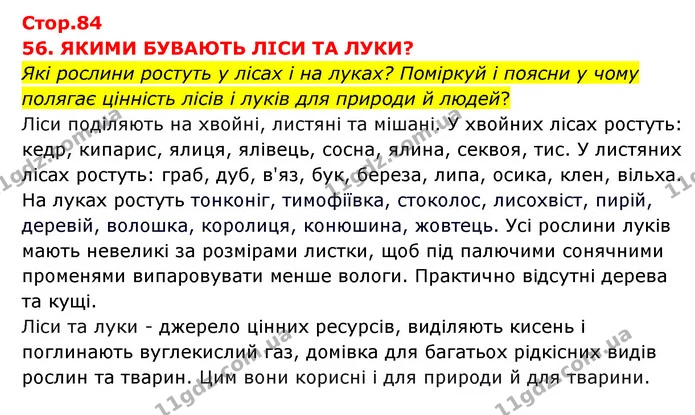 Які рослини ростуть у лісах і на луках? Поміркуй і поясни у чому полягає цінність лісів і луків для природи й людей? — ГДЗ Я досліджую світ 3 клас Грущинська (1 частина)