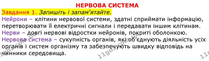 Стор. 75 — 1 (2) — ГДЗ Робочий зошит з Біології 7 клас Яременко — ГДЗ Робочий зошит з Біології 7 клас Яременко