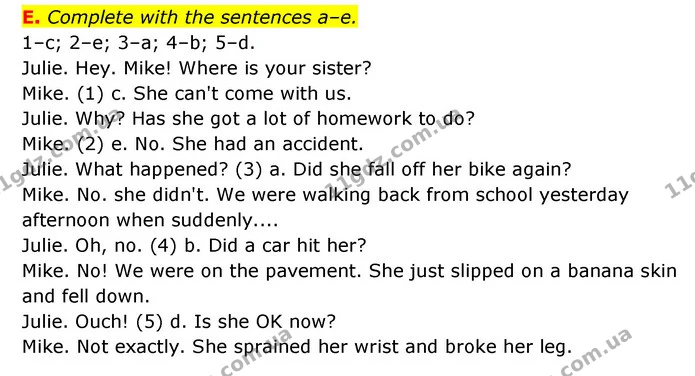 E. Complete with the sentences a–e. — ГДЗ Робочий зошит Англійська мова 6 клас Мітчелл