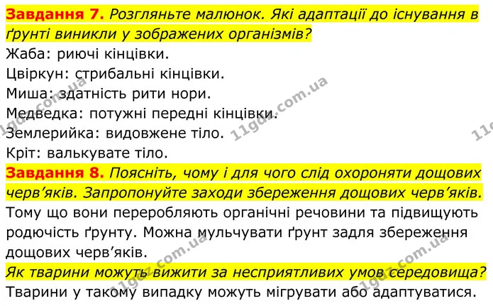 7. Розгляньте малюнок. Які адаптації до існування в ґрунті виникли у зображених організмів? — ГДЗ Робочий зошит Біологія 7 клас Мирна 2024