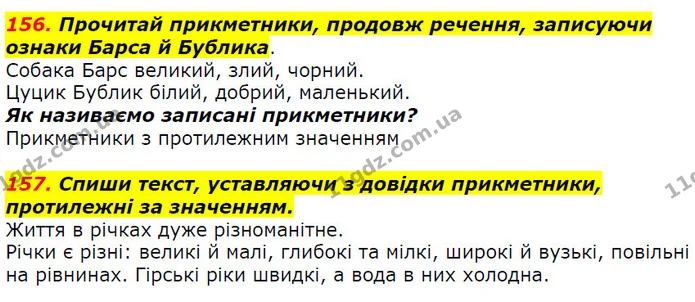 156. Прочитай прикметники, продовж речення, записуючи ознаки Барса й Бублика. — ГДЗ Українська мова 2 клас Захарійчук