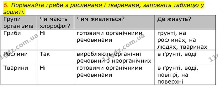 6. Порівняйте гриби з рослинами і тваринами, заповніть таблицю у зошиті. — ГДЗ Природознавство 5 клас Ярошенко