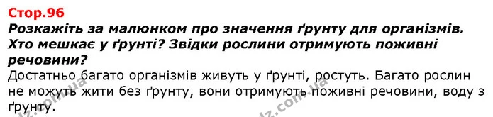 Розкажіть за малюнком про значення ґрунту для організмів. Хто мешкає у ґрунті? Звідки рослини отримують поживні речовини? — ГДЗ Я досліджую світ 1 клас Гільберг