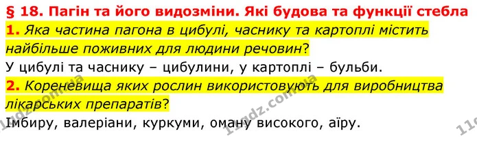1. Яка частина пагона в цибулі, часнику та картоплі містить найбільше поживних для людини речовин? — ГДЗ Біологія 7 клас Балан