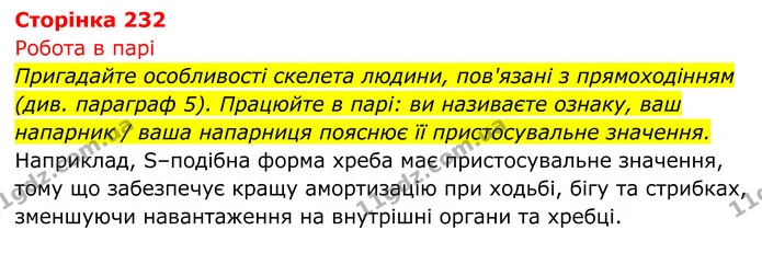 Стор. 232 — 1 — ГДЗ Біологія 8 клас Тагліна — ГДЗ Біологія 8 клас Тагліна