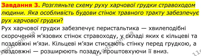 Стор. 56 — 3 — ГДЗ Робочий зошит біологія 8 клас Мирна — ГДЗ Робочий зошит біологія 8 клас Мирна