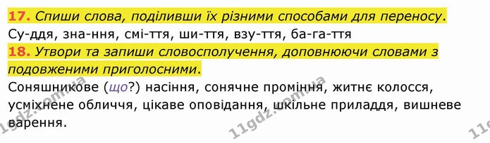 17. Спиши слова, поділивши їх різними способами для переносу. — ГДЗ Українська мова та читання 4 клас Кравцова