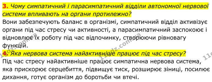 3. Чому симпатичний і парасимпатичний відділи автономної нервової системи впливають на органи протилежно? — ГДЗ Біологія 8 клас Балан