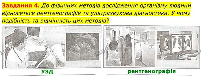 Стор. 9 — 4 — ГДЗ Робочий зошит біологія 8 клас Мирна — ГДЗ Робочий зошит біологія 8 клас Мирна