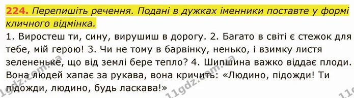 224. Перепишіть речення. Подані в дужках іменники поставте у формі кличного відмінка. — ГДЗ Українська мова 6 клас Глазова