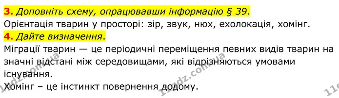 3. Доповніть схему, опрацювавши інформацію § 39. — ГДЗ робочий зошит Біологія 7 клас Кулініч