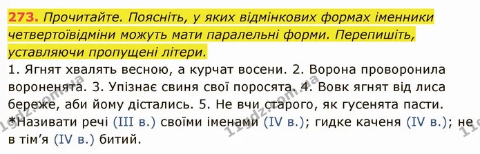 273. Прочитайте. Поясніть, у яких відмінкових формах іменники четвертоївідміни можуть мати паралельні форми. Перепишіть, уставляючи — ГДЗ Українська мова 6 клас Глазова