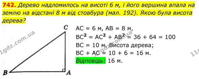 742. Дерево надломилось на висоті 6 м, і його вершина впала на землю на відстані 8 м від стовбура (мал. 192). Якою була висота дерева? — ГДЗ Геометрія 8 клас Бевз