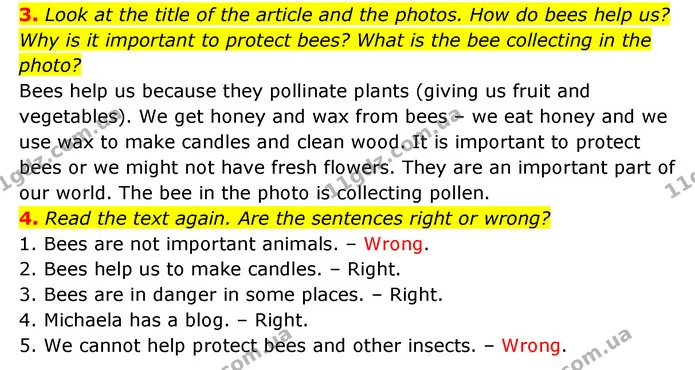 3. Look at the title of the article and the photos. How do bees help us? Why is it important to protect bees? What is the bee — ГДЗ Англійська мова 6 клас Коста (Prepare 6)