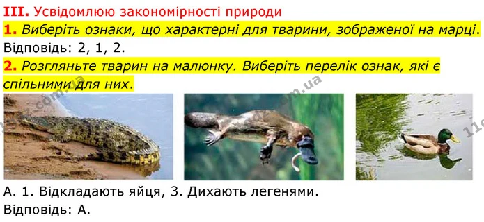 Стор. 253 — Стр.253 (3.1-2) — ГДЗ Біологія 7 клас Балан — ГДЗ Біологія 7 клас Балан