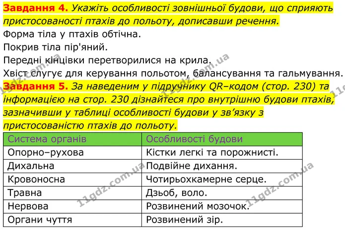 4. Укажіть особливості зовнішньої будови, що сприяють пристосованості птахів до польоту, дописавши речення. — ГДЗ Робочий зошит Біологія 7 клас Мирна 2024