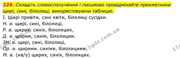 229. Складіть словосполучення і письмово провідміняйте прикметники — ГДЗ Українська мова 6 клас Ворон, Солопенко