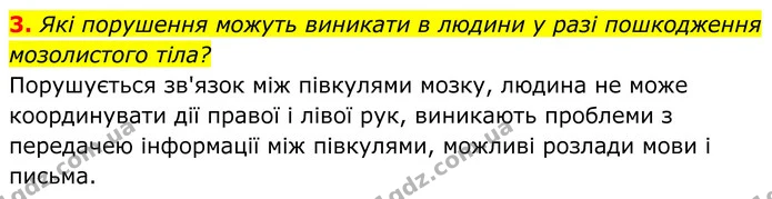 3. Які порушення можуть виникати в людини у разі пошкодження мозолистого тіла? — ГДЗ Біологія 8 клас Балан