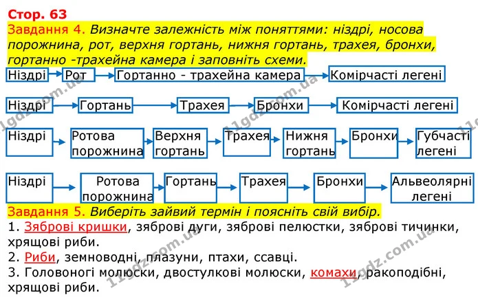 Стор. 63 — 4-5 — ГДЗ Робочий зошит з Біології 7 клас Яременко — ГДЗ Робочий зошит з Біології 7 клас Яременко