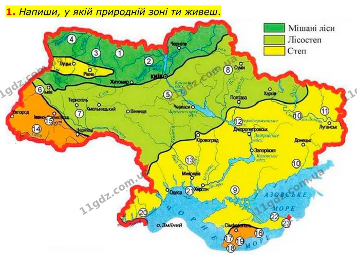 1. Допиши речення. Наведи приклади. — ГДЗ Робочий зошит Я досліджую світ 4 клас Грущинська