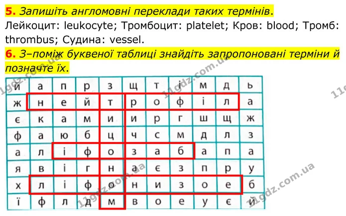 1. Увідповідніть терміни з їхніми визначеннями. — частина 5 — ГДЗ Робочий зошит Біологія 8 клас Тагліна (2025)