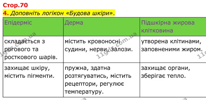 4. Доповніть логікон «Будова шкіри». — ГДЗ Робочий зошит Біологія 8 клас Кулініч