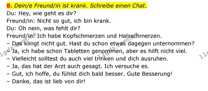 8. Dein/e Freund/in ist krank. Schreibe einen Chat. — ГДЗ Німецька мова 6 клас Сотникова 2 рік (2023)