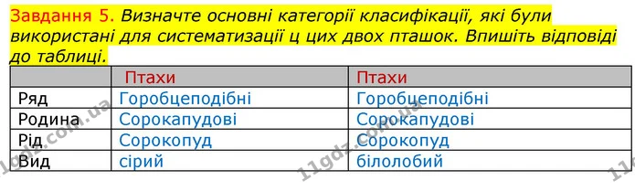 Стор. 11 — 5 — ГДЗ Робочий зошит з Біології 7 клас Яременко — ГДЗ Робочий зошит з Біології 7 клас Яременко