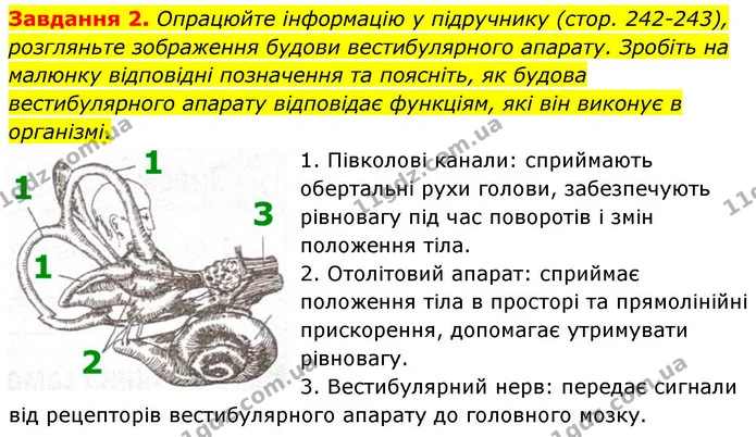 Стор. 112 — 2 — ГДЗ Робочий зошит біологія 8 клас Мирна — ГДЗ Робочий зошит біологія 8 клас Мирна