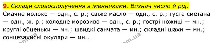 9. Склади словосполучення з іменниками. Визнач число й рід. — ГДЗ Українська мова та читання 4 клас Большакова