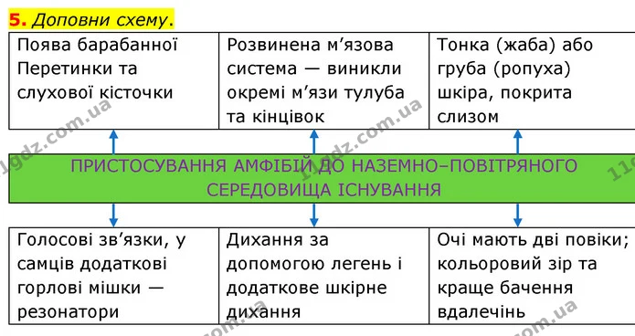 5. Доповни схему. — ГДЗ робочий зошит Біологія 7 клас Тагліна
