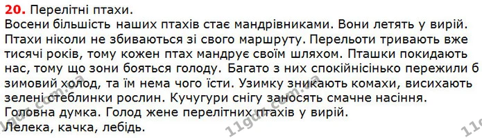 20 — ГДЗ Українська мова 5 клас Глазова 2018 — ГДЗ Українська мова 5 клас Глазова 2018