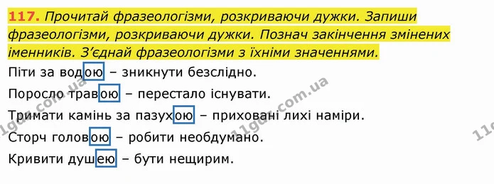 117. Прочитай фразеологізми, розкриваючи дужки. Запиши фразеологізми, розкриваючи дужки. Познач закінчення змінених іменників. З’єднай — ГДЗ Українська мова та читання 4 клас Захарійчук