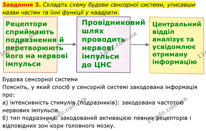 Стор. 76 — 3 — ГДЗ робочий зошит Біологія 8 клас Андерсон — ГДЗ робочий зошит Біологія 8 клас Андерсон