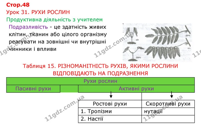 Стор. 48 — 1 — ГДЗ Робочий зошит Біологія 6 клас Соболь — ГДЗ Робочий зошит Біологія 6 клас Соболь
