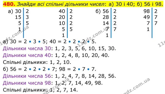 480. Знайди всі спільні дільники чисел: а) 30 і 40; б) 56 і 98. — ГДЗ Математика 6 клас Бевз 1-2 ч.